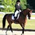 Ole South Dressage Show